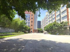 塘厦龙背岭工业区原房东红本厂房1500平出租精装修水电齐全