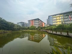 龙华民治 独门独院8000平研发办公厂房出租500起租