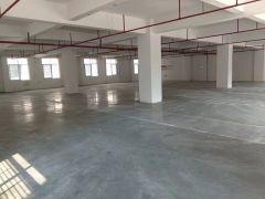 600平全新厂房，原房东，11块一平出租，大园区环境形象好