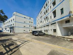 龙岗同乐爱南路边工业区内一楼500平简装仓库电商研发厂房出租