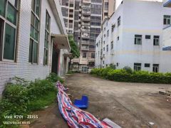 靓马安新出独院厂房4500平米招租