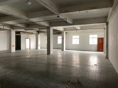 厚街原房东楼上实际面积500平低价厂房出租，电费1块水电齐全