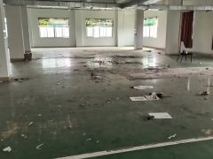 石碣工业园区楼上1200平方 实量面积，现城装修，水电齐全