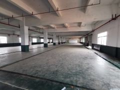 园洲全新厂房1500平起租出租 南北通透 采光好