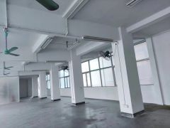 厚街镇新出1300平标准厂房独门独院出租，7米高，水电全