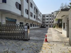 沙田镇杨公洲原房东精装办公 现成水电 独院厂房出租可分租