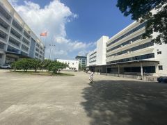 层高6米300平起带红本宝龙科技园3000平一楼仓库厂房出租