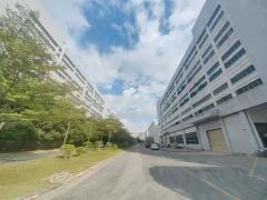 沙井洪田工业区3万平方大型红本厂房出租100起分租