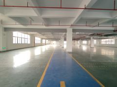 10元无公摊！新圩原房东9000平方红本厂房仓库出租可分租