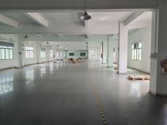 园洲镇新空出标准加单一层9000平方，价格便宜