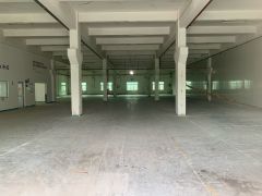 靠近常平 原房东独院出租 工业用地 现成办公室 厂房出租