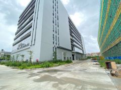 大朗新建重工业厂房，楼上承重1.52吨 带红本 形象好易招工
