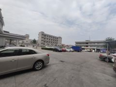 厚街三屯挨赤岭一楼1200平厂房出租 空地大 停车方便