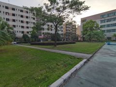 永湖地铁站原房东一楼3000平办公厂房仓库出租100平起租