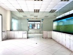 租金12元！塘厦原房东直租楼上500平方！现成办公室装修