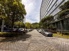 龙岗宝龙独院厂房20000平出租，200平起租 可分租