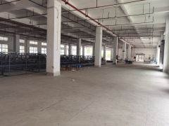 布吉上李朗新出独栋独院1到5层单层3800平高新补贴红本出租