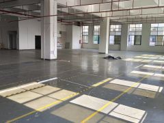 长安高标准独院厂房800平方出租 带装修.