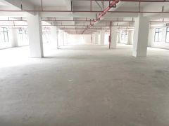 全新厂房，原房东公摊小，四面采光好，有消防有环评
