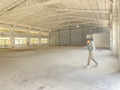 陈江原房东厂房出租独院适合抽粒注塑电子五金冲压机械设备家具等