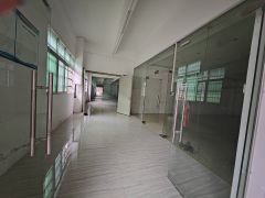 园洲电子包装类看过来500平，750平，1100平 水电齐全
