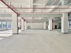 标准厂房，有宿舍配套高速路口附近，可围独院超大空地，水电全通