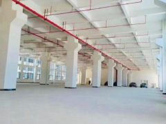 6元全新厂房出租，大小可分，原房东无公摊，不限行业