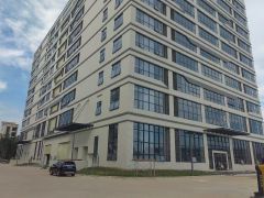 东莞市茶山镇新建独院厂房1000一5000平方起租格便宜。