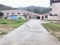 惠阳新圩3000平原房东单一层钢构厂房仓库低价出租，可办环评