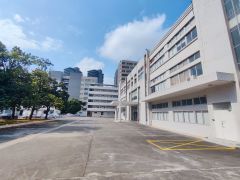 大朗原房东标准独院厂房 带红本精装修 大小可分租 适合各行业