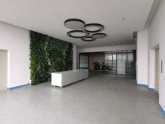 厚街桥头第三工业厂房三楼1200平方厂房出租现成水电精装办公